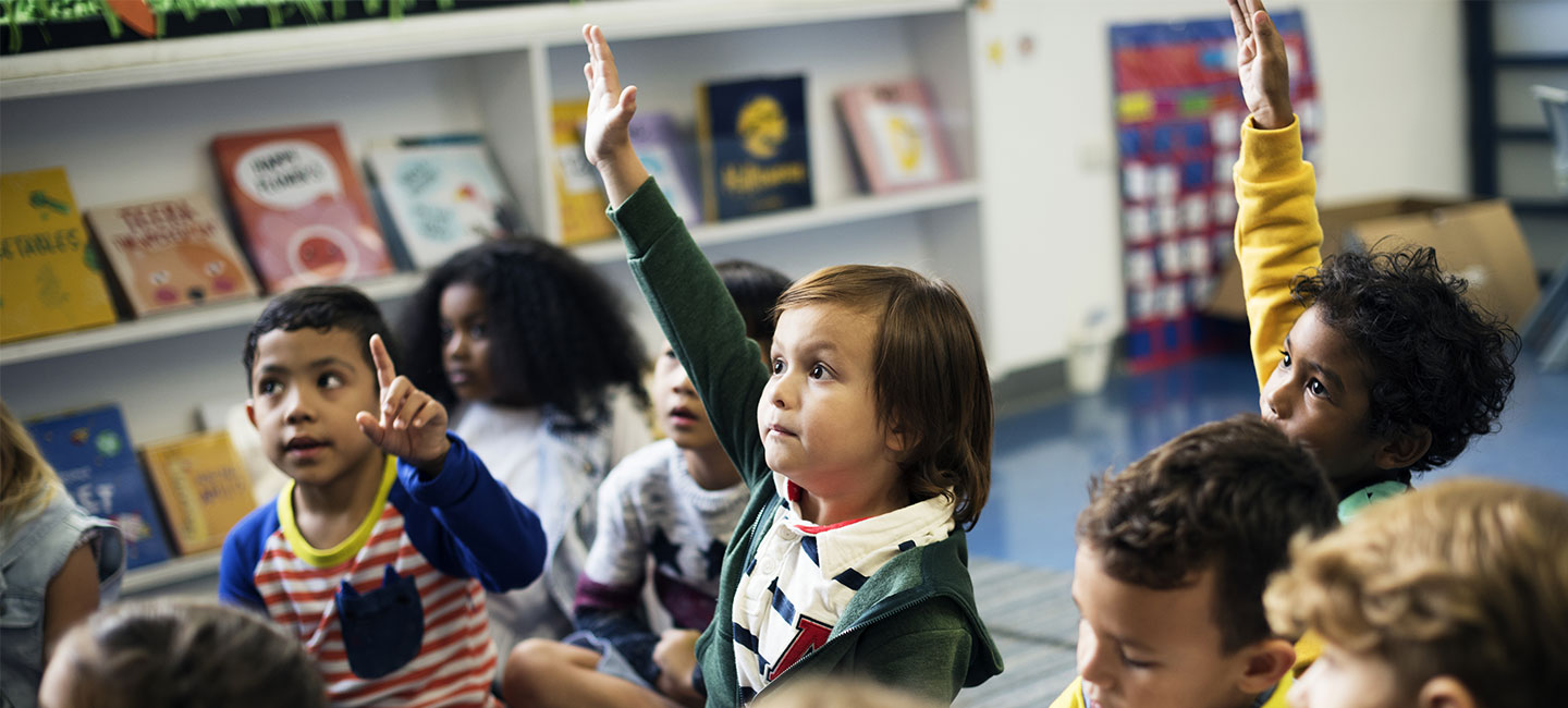 Processo Seletivo - Educação Infantil